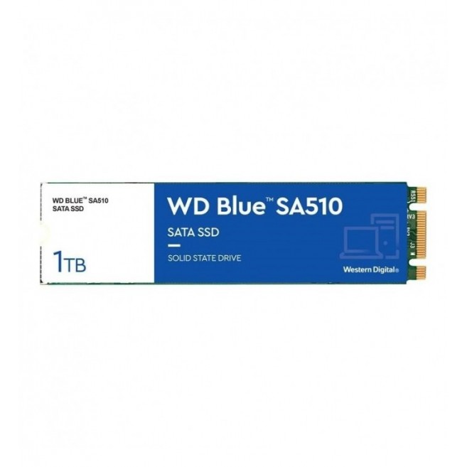 WD BLUE SA510 WDS100T3B0B...
