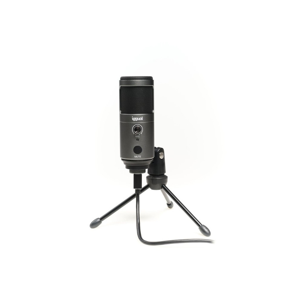 Meta title-IGGUAL MICRÓFONO CONDENSADOR PODCASTING PRO GRIS ANDORRA , Audio ANDORRA , Micrófonos ANDORRA , 8435364317273 ANDORRA