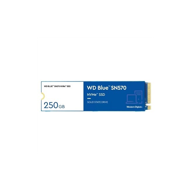 WD BLUE SN570 WDS250G3B0C...